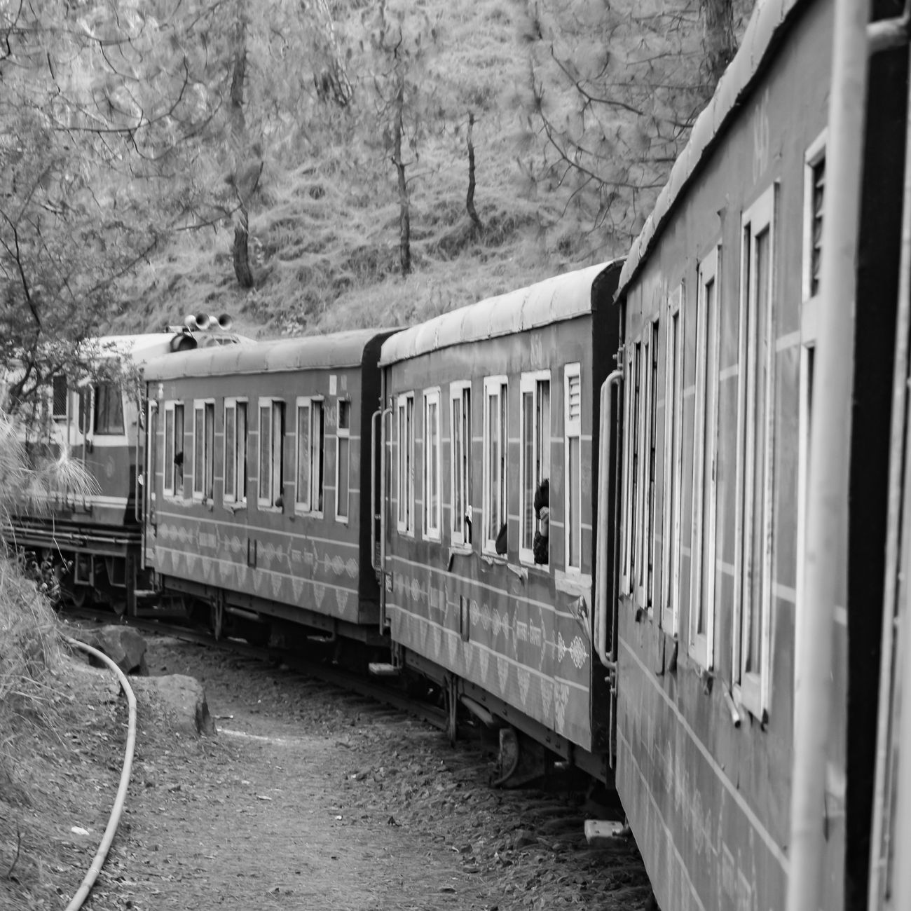 Scenic train voyage across pristine mountainous landscapes